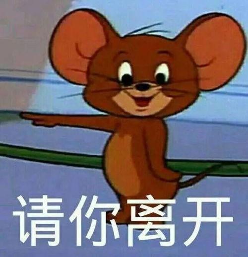 娱乐吃瓜酱杰瑞,娱乐吃瓜界的风云人物